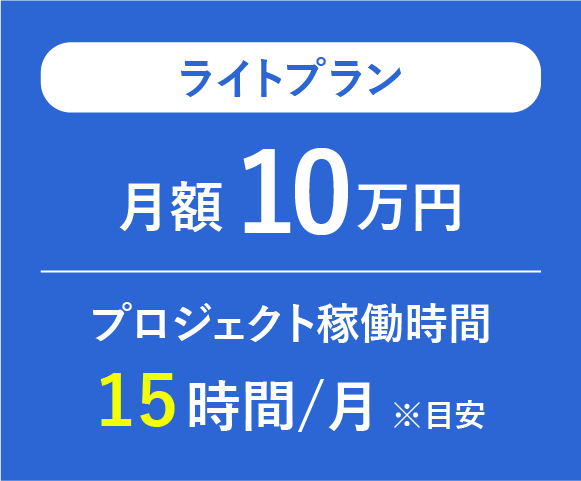 ライトプラン/月額 10 万円