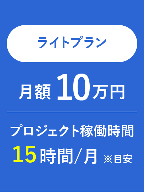 ライトプラン/月額 10 万円