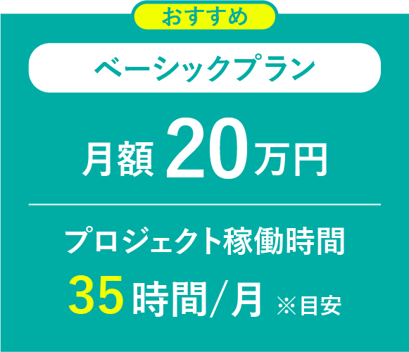 ベーシックプラン/月額 20 万円