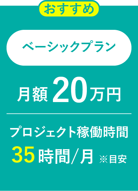ベーシックプラン/月額 20 万円